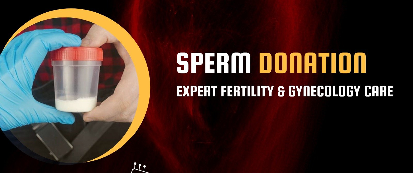 Sperm Donation